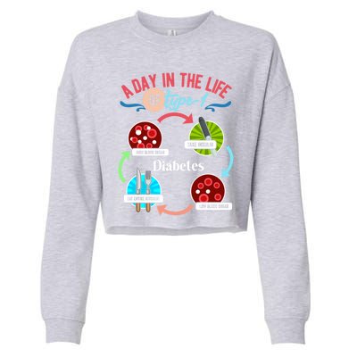 A Day In Life Of Typegift1 Diabetes Gift Cropped Pullover Crew