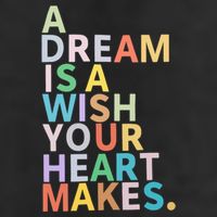 A Dream Is A Wish Your Heart Makes Cool Comfort Performance Bucket Hat
