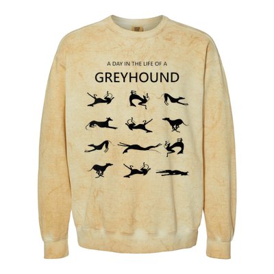 A Day In The Life Of A Greyhound Colorblast Crewneck Sweatshirt