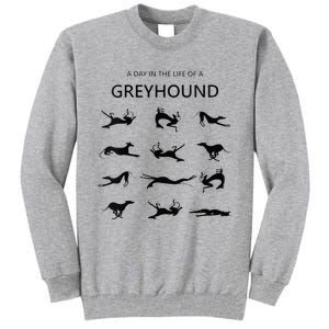 A Day In The Life Of A Greyhound Tall Sweatshirt