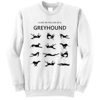 A Day In The Life Of A Greyhound Sweatshirt