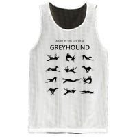 A Day In The Life Of A Greyhound Mesh Reversible Basketball Jersey Tank