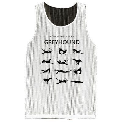 A Day In The Life Of A Greyhound Mesh Reversible Basketball Jersey Tank