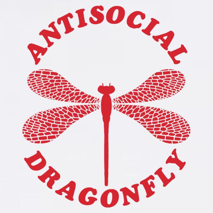 Antisocial Dragonfly Introvert Funny Introversion Humor Flat Bill Trucker Hat