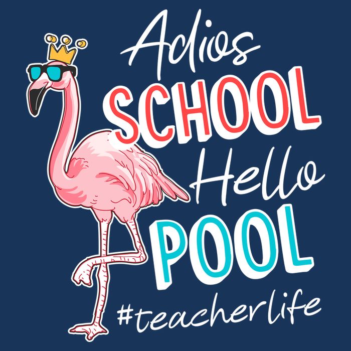 Adios School Hello Pool Teacher Life Flamingo 16 in Basic Backpack