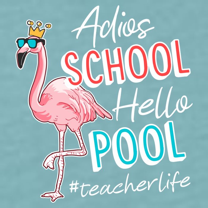 Adios School Hello Pool Teacher Life Flamingo Sueded Cloud Jersey T-Shirt