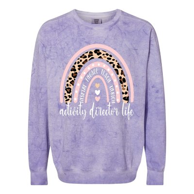 Activity Director Life Activity Coordinator Appreciation Colorblast Crewneck Sweatshirt