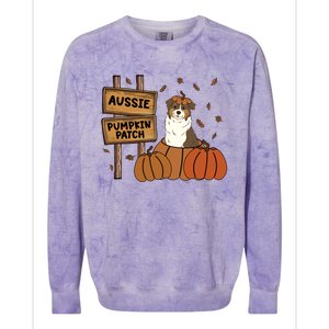 Aussie Dog Lovers Pumpkin Patch Thanksgiving Halloween Cute Gift Colorblast Crewneck Sweatshirt