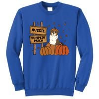 Aussie Dog Lovers Pumpkin Patch Thanksgiving Halloween Cute Gift Sweatshirt