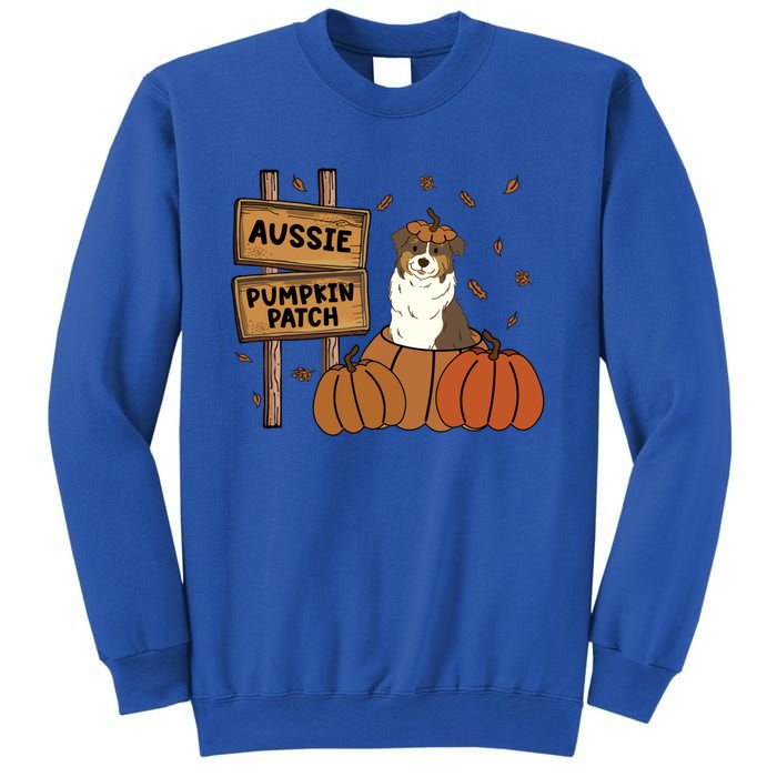 Aussie Dog Lovers Pumpkin Patch Thanksgiving Halloween Cute Gift Sweatshirt