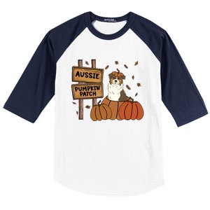 Aussie Dog Lovers Pumpkin Patch Thanksgiving Halloween Cute Gift Baseball Sleeve Shirt