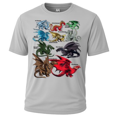 Awesome Dragon Lovers Types Of Dragons Gift Cooling Performance Crew T-Shirt