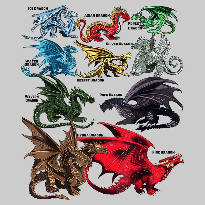 Awesome Dragon Lovers Types Of Dragons Gift Bucket Hat