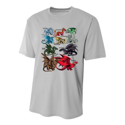 Awesome Dragon Lovers Types Of Dragons Gift Youth Performance Sprint T-Shirt