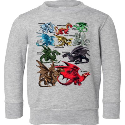 Awesome Dragon Lovers Types Of Dragons Gift Toddler Sweatshirt