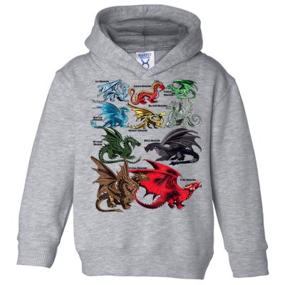 Awesome Dragon Lovers Types Of Dragons Gift Toddler Hoodie