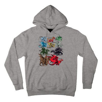 Awesome Dragon Lovers Types Of Dragons Gift Tall Hoodie