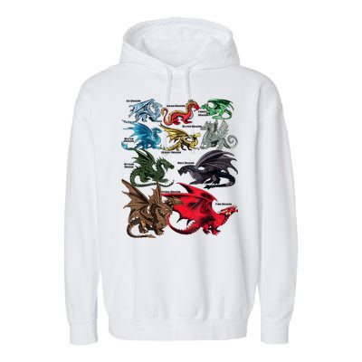 Awesome Dragon Lovers Types Of Dragons Gift Garment-Dyed Fleece Hoodie