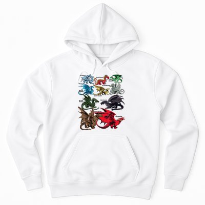 Awesome Dragon Lovers Types Of Dragons Gift Hoodie