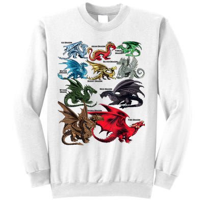 Awesome Dragon Lovers Types Of Dragons Gift Sweatshirt