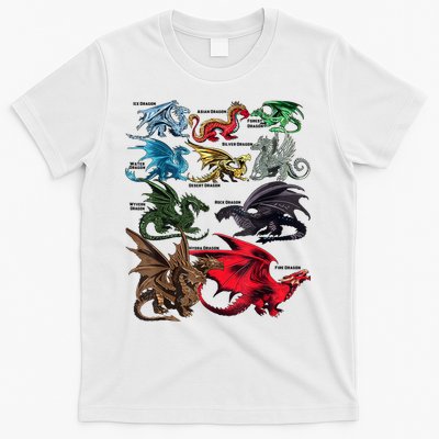 Awesome Dragon Lovers Types Of Dragons Gift T-Shirt