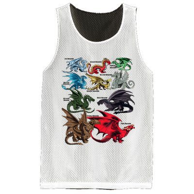 Awesome Dragon Lovers Types Of Dragons Gift Mesh Reversible Basketball Jersey Tank
