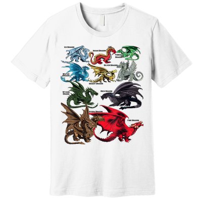 Awesome Dragon Lovers Types Of Dragons Gift Premium T-Shirt