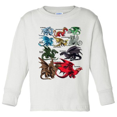 Awesome Dragon Lovers Types Of Dragons Gift Toddler Long Sleeve Shirt