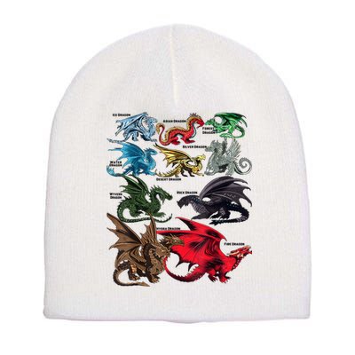 Awesome Dragon Lovers Types Of Dragons Gift Short Acrylic Beanie