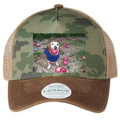 Apple Dog Meme Funny Dog With Apple In Mouth Funny Brainrot Legacy Tie Dye Trucker Hat