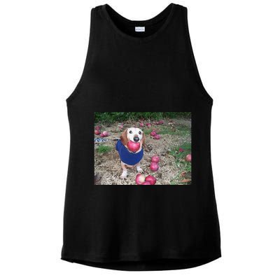 Apple Dog Meme Funny Dog With Apple In Mouth Funny Brainrot Ladies PosiCharge Tri-Blend Wicking Tank