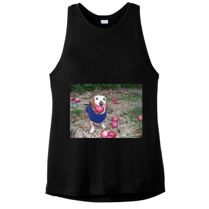 Apple Dog Meme Funny Dog With Apple In Mouth Funny Brainrot Ladies PosiCharge Tri-Blend Wicking Tank