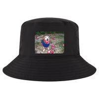 Apple Dog Meme Funny Dog With Apple In Mouth Funny Brainrot Cool Comfort Performance Bucket Hat
