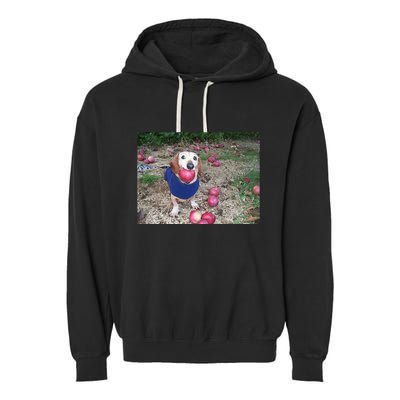 Apple Dog Meme Funny Dog With Apple In Mouth Funny Brainrot Garment-Dyed Fleece Hoodie