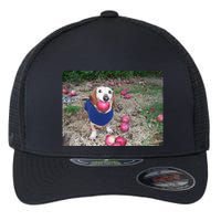 Apple Dog Meme Funny Dog With Apple In Mouth Funny Brainrot Flexfit Unipanel Trucker Cap