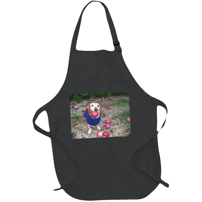 Apple Dog Meme Funny Dog With Apple In Mouth Funny Brainrot Apron