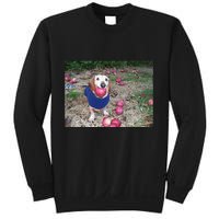 Apple Dog Meme Funny Dog With Apple In Mouth Funny Brainrot Sweatshirt