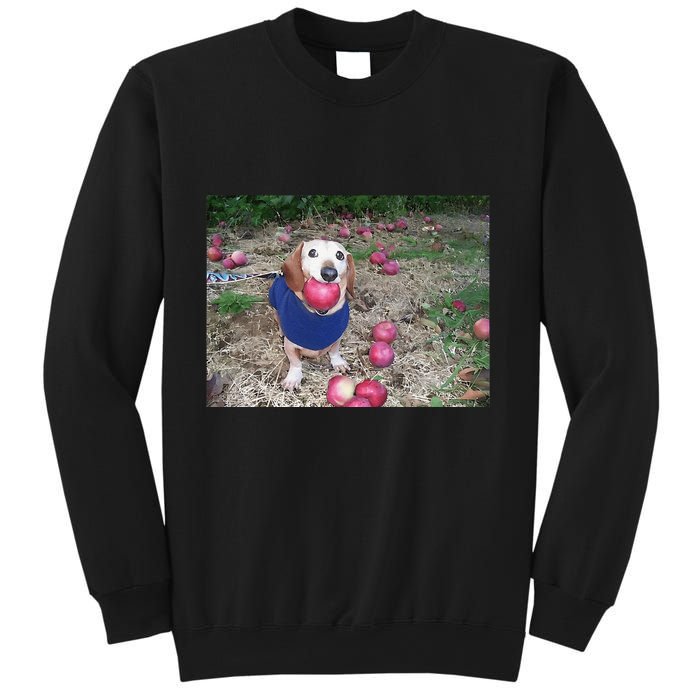 Apple Dog Meme Funny Dog With Apple In Mouth Funny Brainrot Sweatshirt
