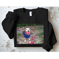 Apple Dog Meme Funny Dog With Apple In Mouth Funny Brainrot Sweatshirt