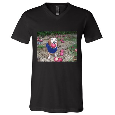 Apple Dog Meme Funny Dog With Apple In Mouth Funny Brainrot V-Neck T-Shirt