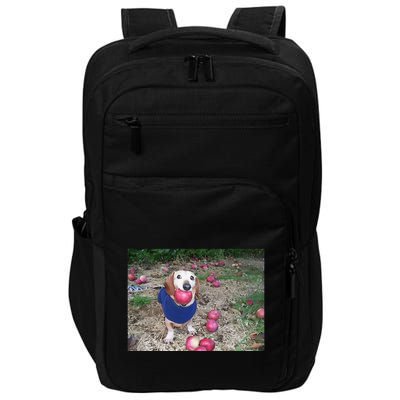 Apple Dog Meme Funny Dog With Apple In Mouth Funny Brainrot Impact Tech Backpack