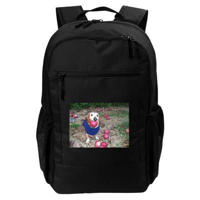 Apple Dog Meme Funny Dog With Apple In Mouth Funny Brainrot Backpack