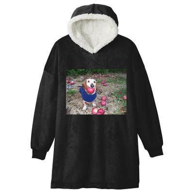 Apple Dog Meme Funny Dog With Apple In Mouth Funny Brainrot Hooded Wearable Blanket