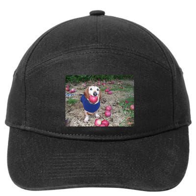Apple Dog Meme Funny Dog With Apple In Mouth Funny Brainrot 7-Panel Snapback Hat