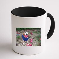 Apple Dog Meme Funny Dog With Apple In Mouth Funny Brainrot Mug