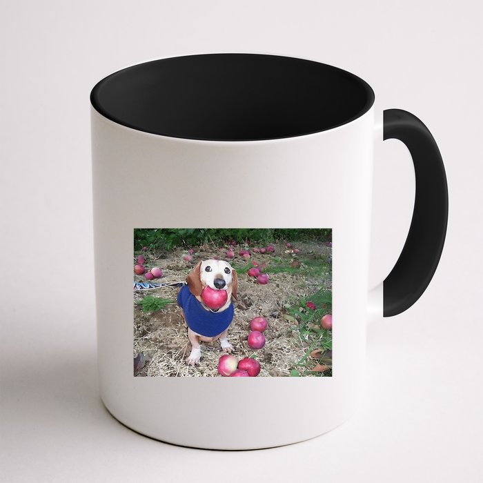 Apple Dog Meme Funny Dog With Apple In Mouth Funny Brainrot Mug