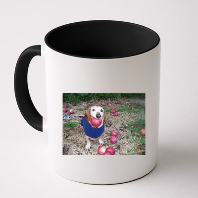 Apple Dog Meme Funny Dog With Apple In Mouth Funny Brainrot Mug
