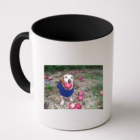 Apple Dog Meme Funny Dog With Apple In Mouth Funny Brainrot Mug