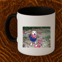 Apple Dog Meme Funny Dog With Apple In Mouth Funny Brainrot Mug