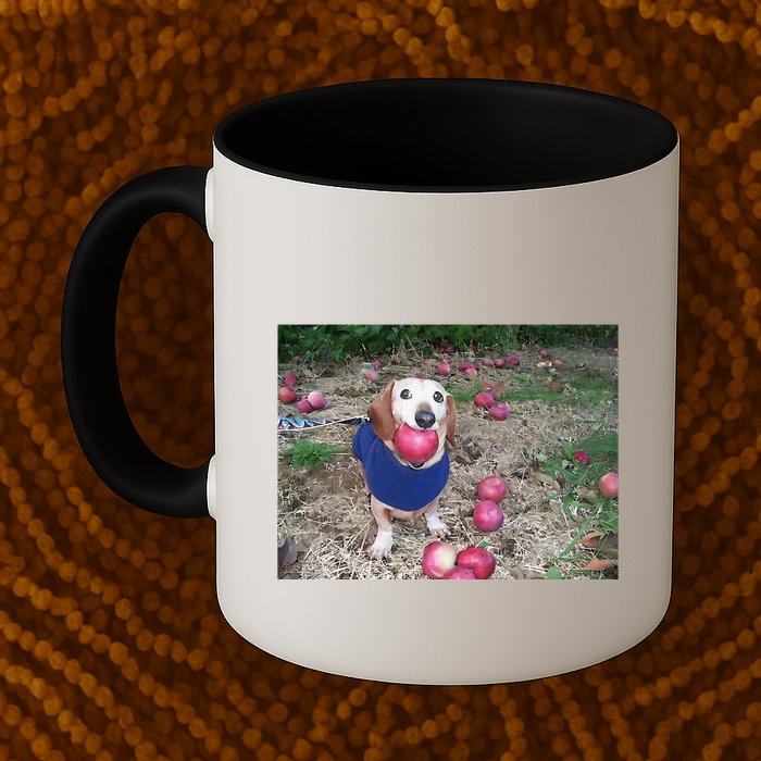 Apple Dog Meme Funny Dog With Apple In Mouth Funny Brainrot Mug